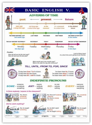Basic English V