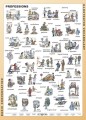 Professions (Zawody)