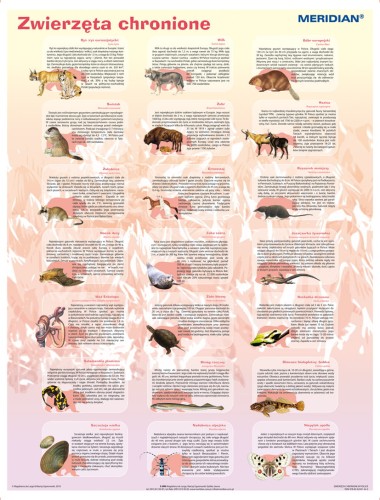 Zwierzęta chronione w Polsce