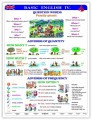 Basic English IV